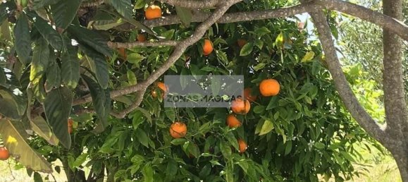 Вилла с 9 спальнями в Вила ду Бишпу, Португалия № 186702 29