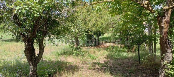 2 bedrooms House in Vernasca, Italy No. 299156 16