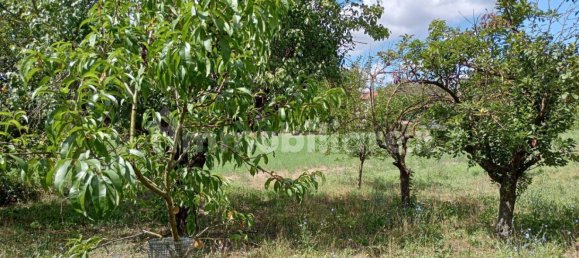 2 bedrooms House in Vernasca, Italy No. 299156 17