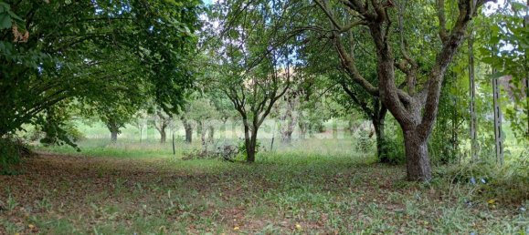 2 bedrooms House in Vernasca, Italy No. 299156 13