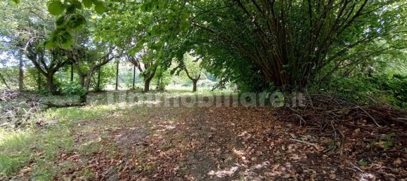 2 bedrooms House in Vernasca, Italy No. 299156 10