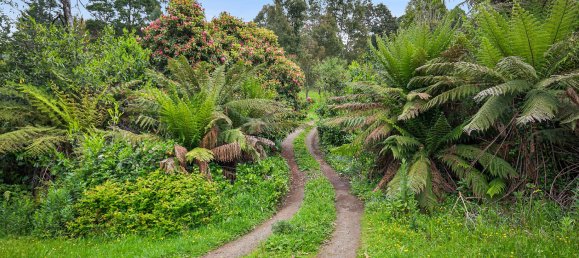 3 bedrooms House in Kalorama, Australia No. 767 2