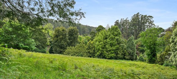 3 bedrooms House in Kalorama, Australia No. 767 13