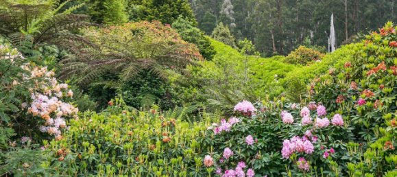 3 bedrooms House in Kalorama, Australia No. 767 7