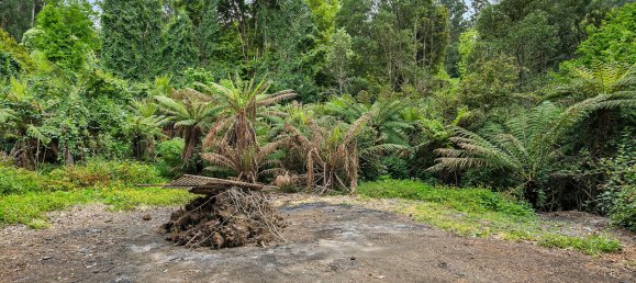 3 bedrooms House in Kalorama, Australia No. 767 14