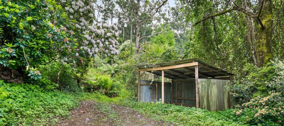 3 bedrooms House in Kalorama, Australia No. 767 12