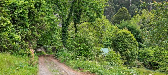 3 bedrooms House in Kalorama, Australia No. 767 5