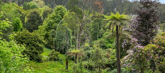 3 bedrooms House in Kalorama, Australia No. 767 9