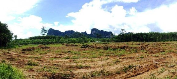 6400m² Commercial property in Phuket, Thailand No. 12478 3