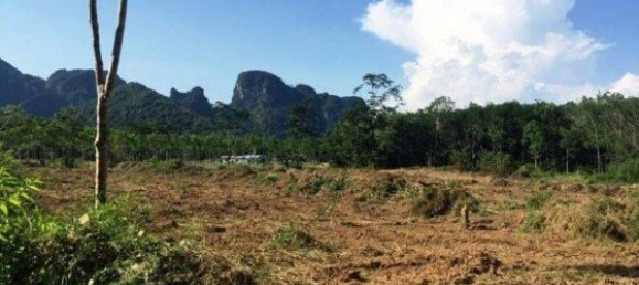 6400m² Commercial property in Phuket, Thailand No. 12478 4