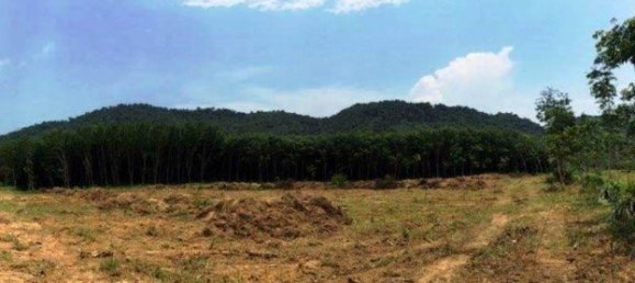 6400m² Commercial property in Phuket, Thailand No. 12478 5