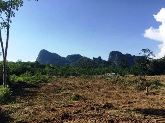 6400m² Commercial property in Phuket, Thailand No. 12478