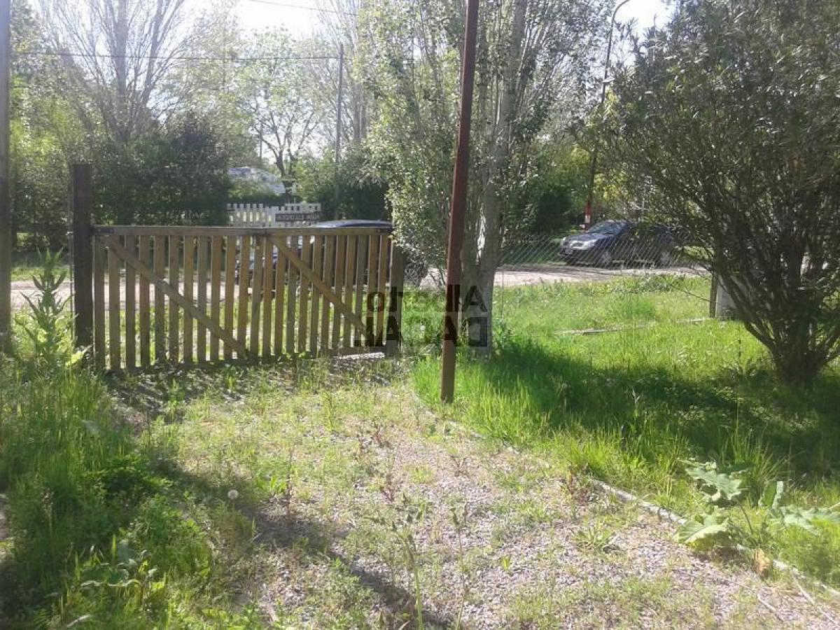  Land in Campo Creado, Argentina No. 33842