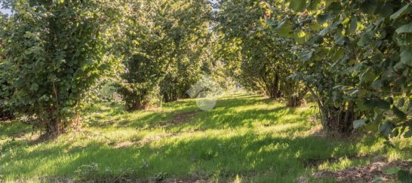 3 chambres Maison à Sutri, Italy No. 359941 9