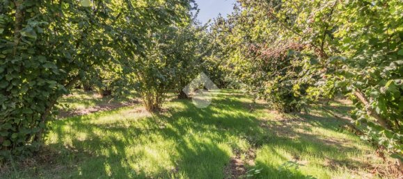 3 chambres Maison à Sutri, Italy No. 359941 5