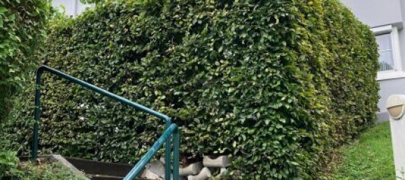 Apartamento de 5 divisões em Henndorf am Wallersee, Austria N.º 216554 15