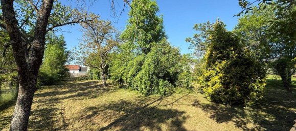 3 rooms House in Stinatz, Austria No. 78483 27