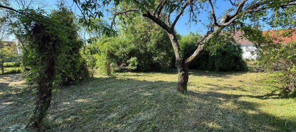 3 rooms House in Stinatz, Austria No. 78483 26