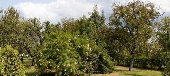 3 rooms House in Stinatz, Austria No. 78483 25