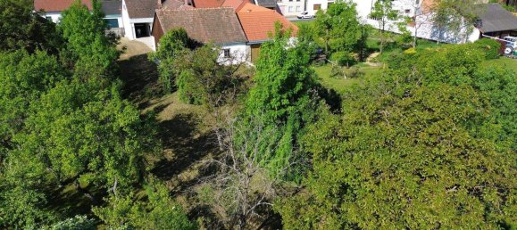 3 rooms House in Stinatz, Austria No. 78483 32