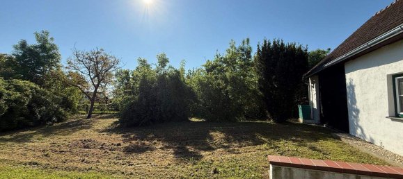 3 rooms House in Stinatz, Austria No. 78483 28