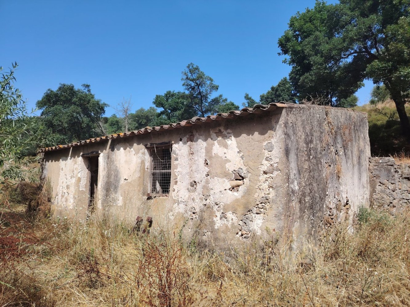 1 Schlafzimmer Haus in Monchique, Portugal, Nr. 210923