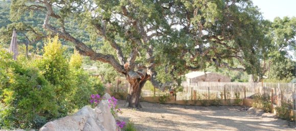 Casa de 2 dormitorios en Zonza, France No. 152021 7