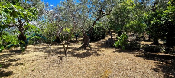 9 chambres Maison à Sorrento, Italy No. 336328 38