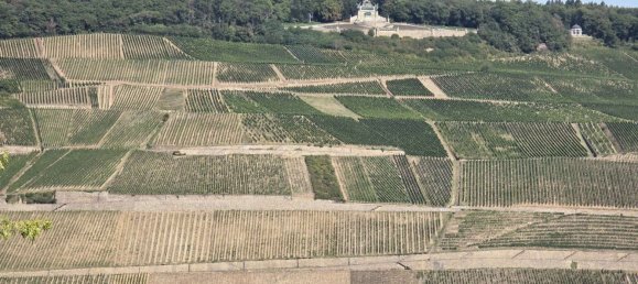 3 bedrooms Apartment in Mainz-Bingen, Germany No. 276538 7