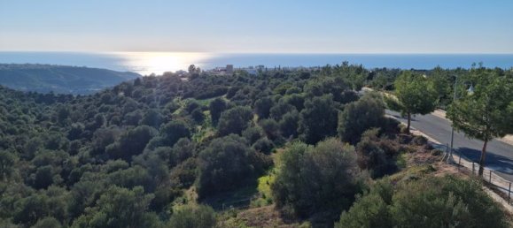 3 غرف نوم فيلا في Kouklia, Cyprus رقم 80196 19