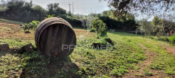 3 chambres Maison à Santiago do Cacem, Portugal No. 73299 20