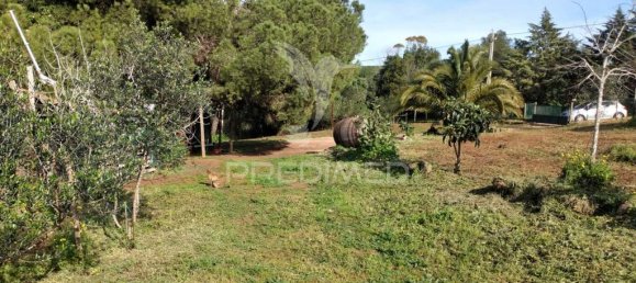 3 chambres Maison à Santiago do Cacem, Portugal No. 73299 18