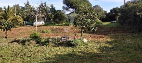 3 chambres Maison à Santiago do Cacem, Portugal No. 73299 19