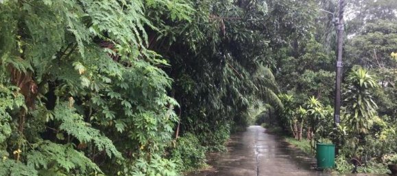 3 chambres Café / restaurant à Tha Muang, Thailand No. 8031 8