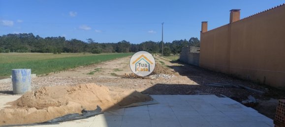 5 bedrooms House in Praia de Mira, Portugal No. 72636 2