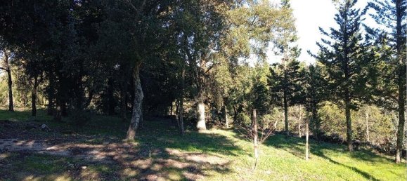 8 Schlafzimmer Haus in Portalegre, Portugal, Nr. 146362 13