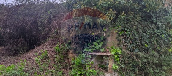 2 bedrooms House in Tomar, Portugal No. 182155 5