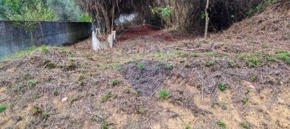 2 bedrooms House in Tomar, Portugal No. 182155 2