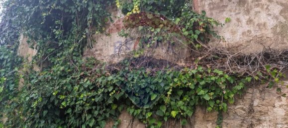 2 bedrooms House in Tomar, Portugal No. 182155 4