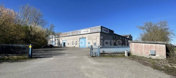 5-Zimmer Lagerhaus in Arena Po, Italy, Nr. 206988 7