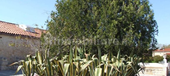 5-salle Propriété commerciale à Turi, Italy No. 213427 15