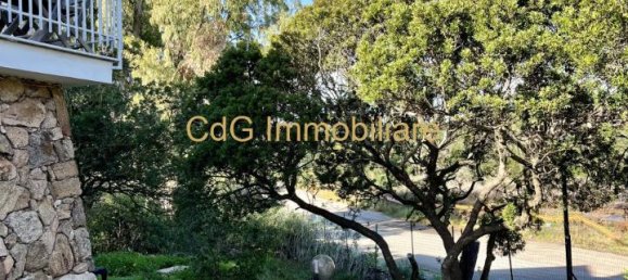 4 rooms Villa in Golfo Aranci, Italy No. 230539 33