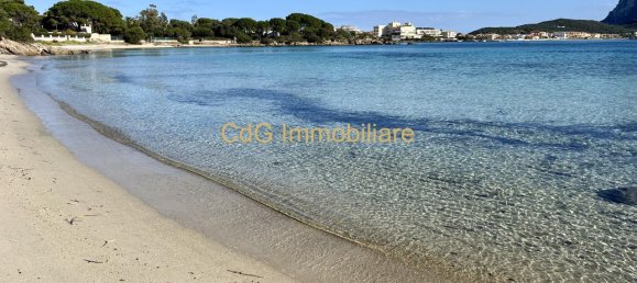 4 rooms Villa in Golfo Aranci, Italy No. 230539 48
