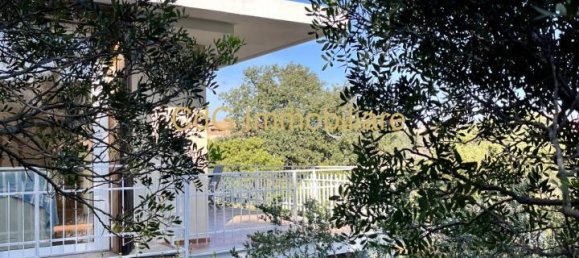 4 rooms Villa in Golfo Aranci, Italy No. 230539 27