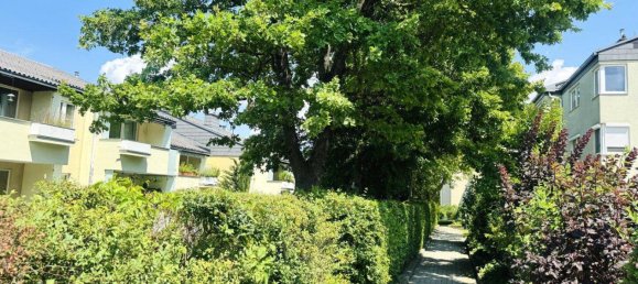 5 rooms Apartment in Perchtoldsdorf, Austria No. 191438 2