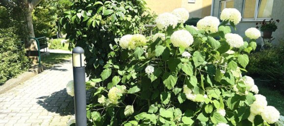 5 rooms Apartment in Perchtoldsdorf, Austria No. 191438 21