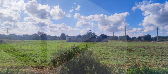 Земельный участок 6383м² в Полиньяно а Маре, Италия № 22743 37