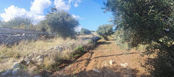 Земельный участок 6383м² в Полиньяно а Маре, Италия № 22743 31