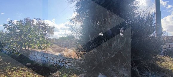 Земельный участок 6383м² в Полиньяно а Маре, Италия № 22743 14