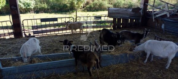 2 bedrooms House in Santarem, Portugal No. 97665 15